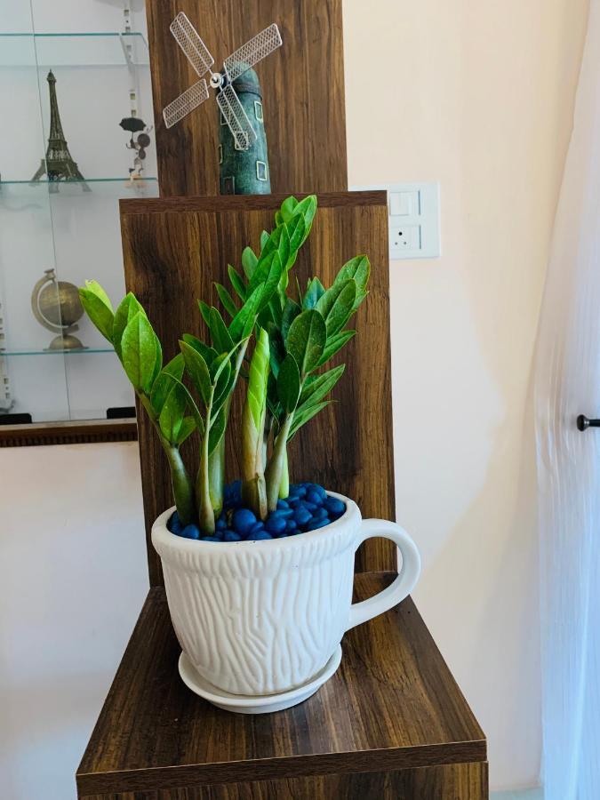 Jasmin Villa Vanivilasa Puram Εξωτερικό φωτογραφία
